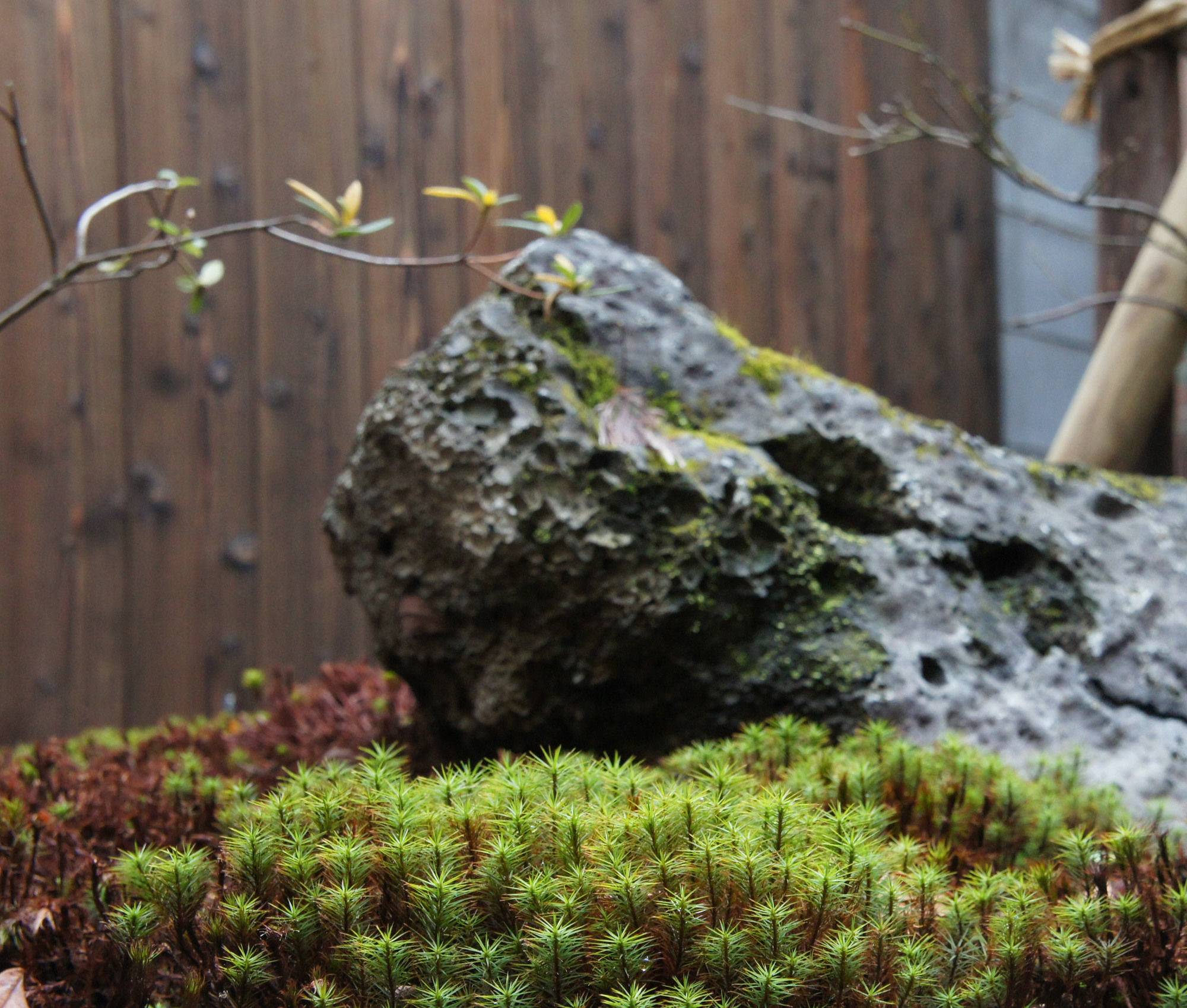 Korakuan Villa Kyoto Exteriör bild